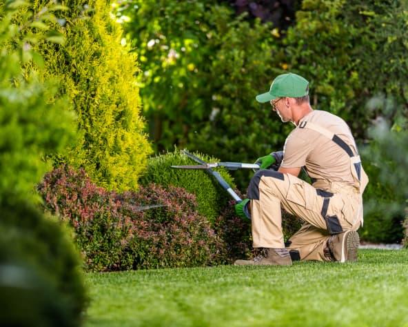 landscape-business-software