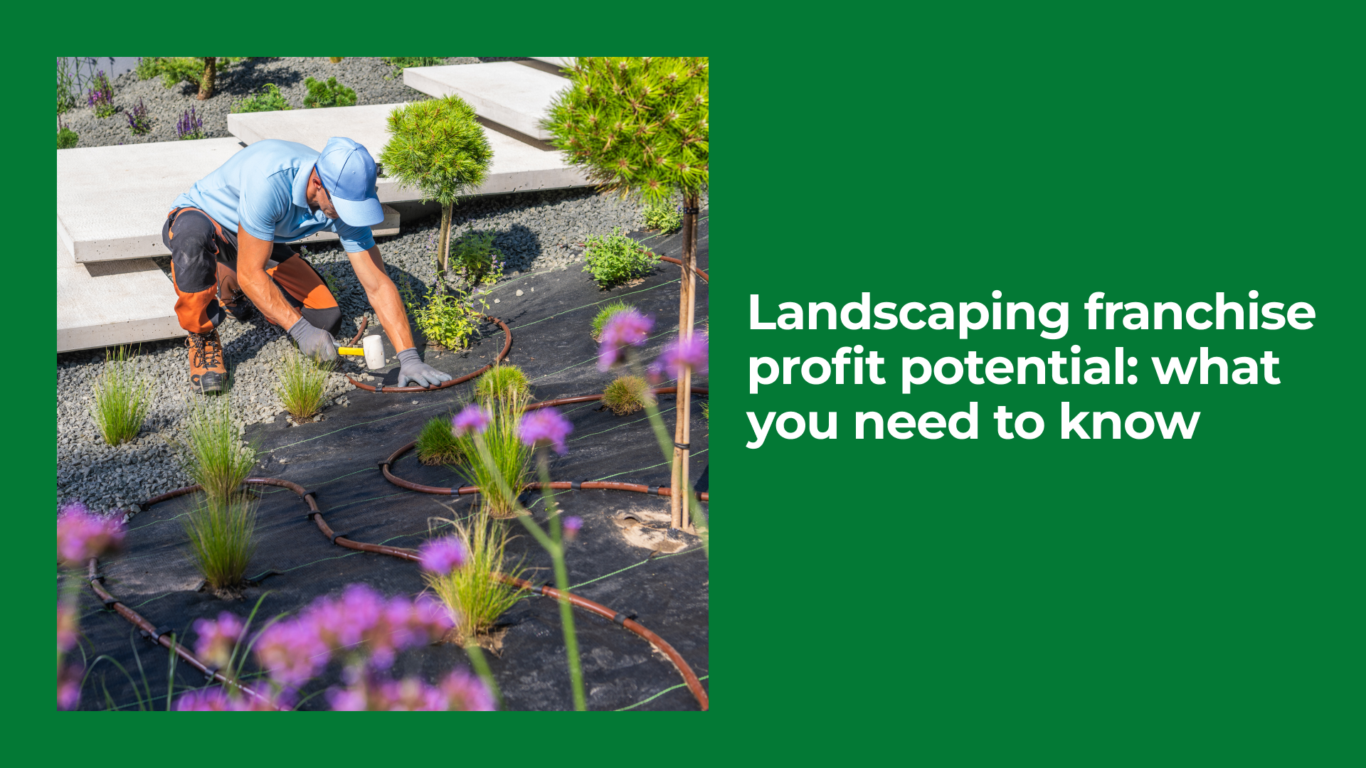 Landscaping Franchise Profit Potential: What You Need to Know