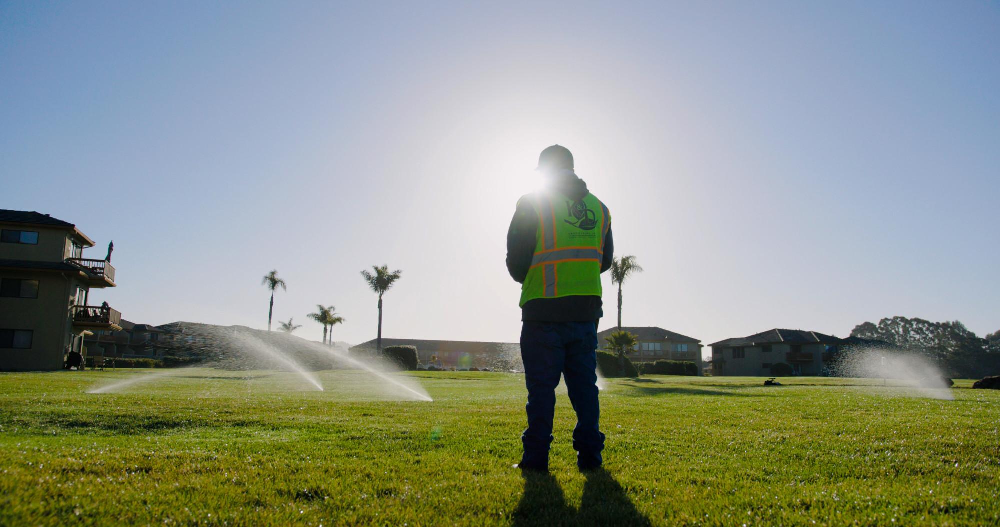 Why You Should Hire College Students for Your Landscaping Business