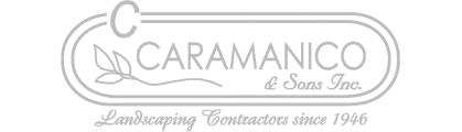 Logo | Carmanico & Sons | 419 px / 120 px | Gray
