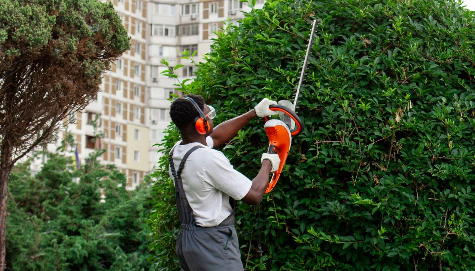 Sunscape Landscaping