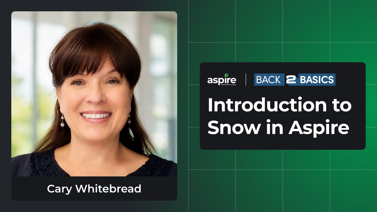 Introduction to Snow in Aspire