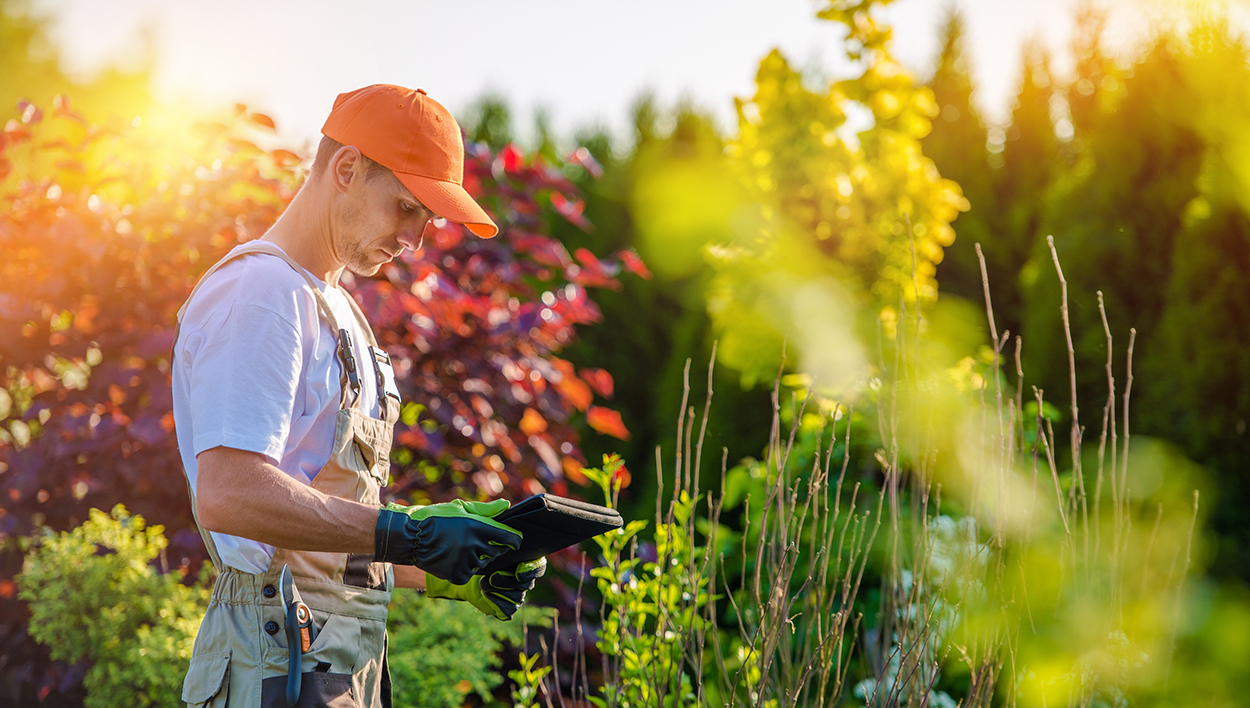 5 reasons why landscaping business software matters