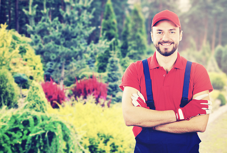 Online landscaping training courses: Do they make a difference?