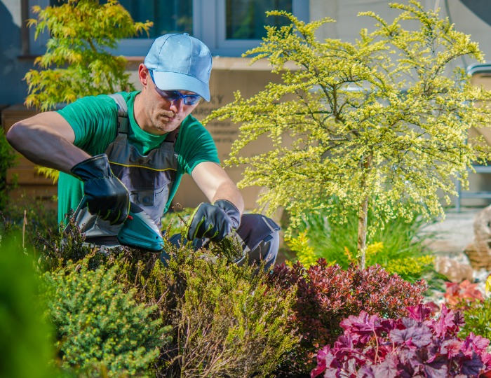 Why Landscaping Jobs Lose Money And, Do Landscapers Get Good Money