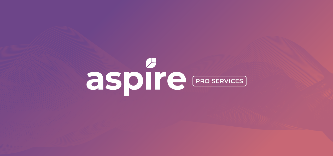 Aspire Launches Comprehensive Business Consulting with Pro Services