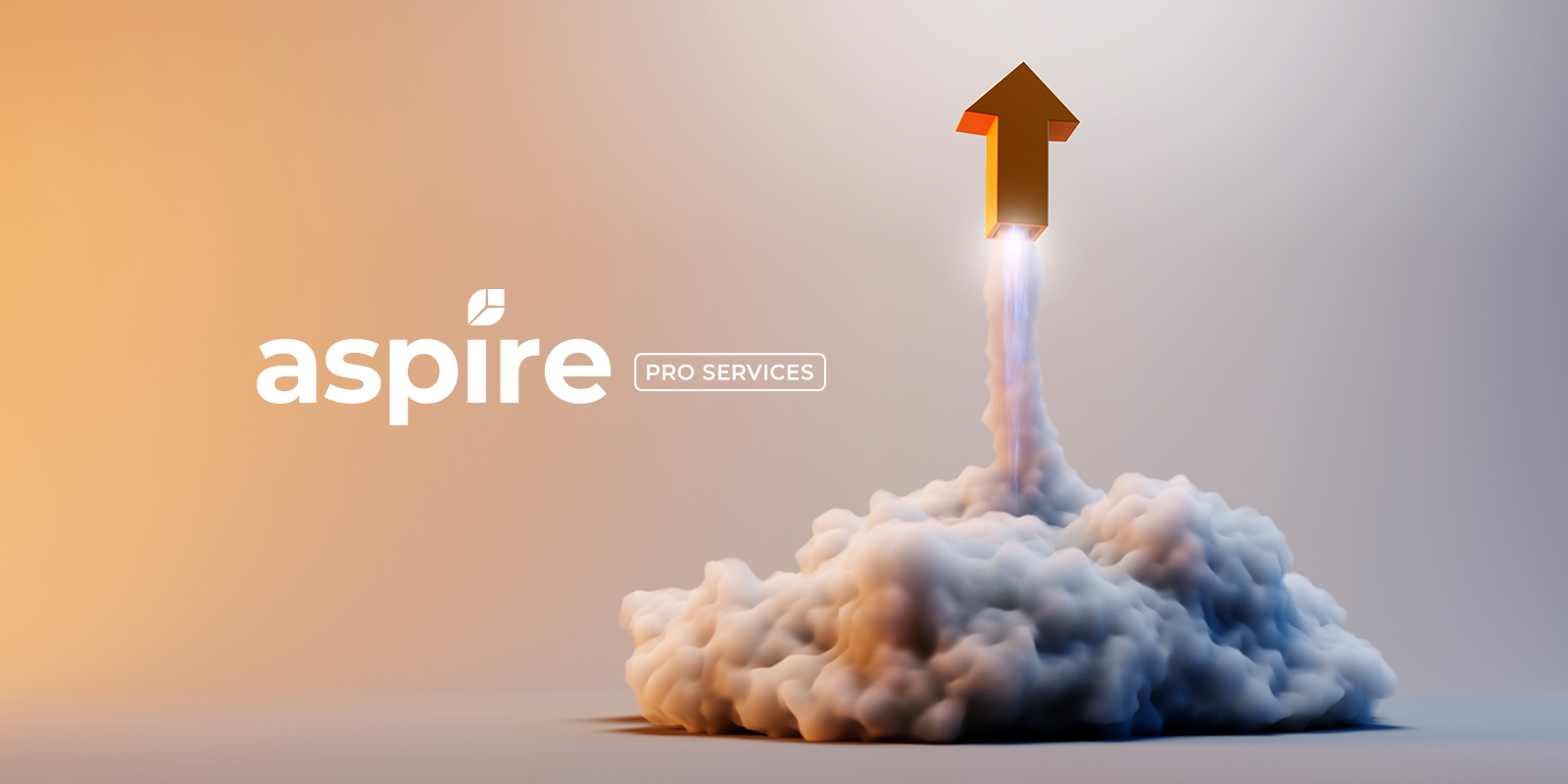 Accelerate your business's growth with Aspire Pro Services